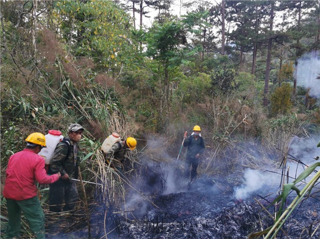 Lâm Đồng: Quyết liệt thực hiện các biện pháp, giải pháp chủ động phòng, chữa cháy rừng (28/02/2024)